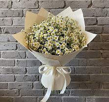 Букет цветов из:  Ромашки #REPLACE_PRED# Камышла