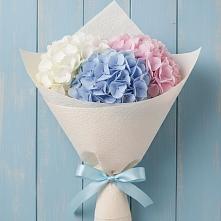 Букет цветов из:  Гортензия в Камышла