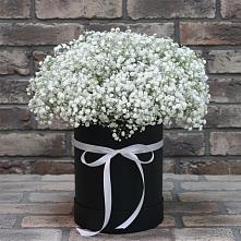 Цветочная композиция из Гипсофила в шляпной коробке в Камышла