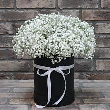 Цветочная композиция из Гипсофила в шляпной коробке в Камышла